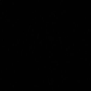 Meet your Posher, Laurelle